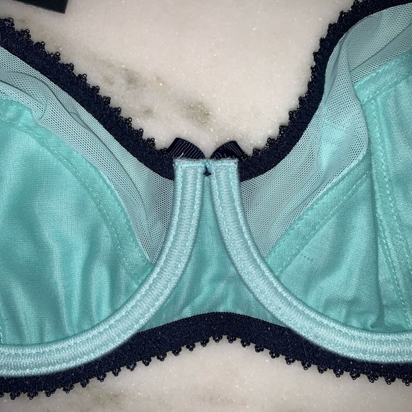 Claudette Dessous Paramour Bra - Picture 6 of 10